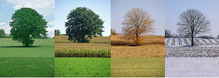 TGA 2024：《暗喻幻想》获得最佳叙事游戏